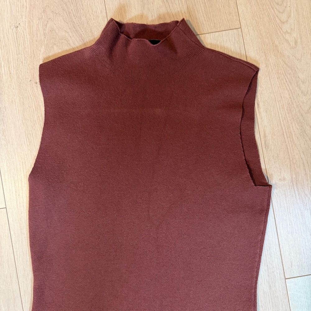 Vici Sleeveless Rust Turtleneck Bodysuit